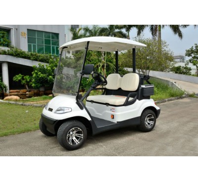 Electric 2 Seater Golf Cart