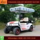 Customized 4 Passenger Electric Golf Cart