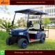 Customized 4 Passenger Electric Golf Cart for Golf Course