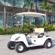 Hot Selling Factory Supply 2 Seater Electric Sightseeing Car (DG-C2)